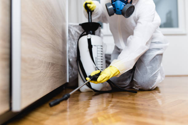 Best Best Pest Control Companies  in Hillsboro, OH