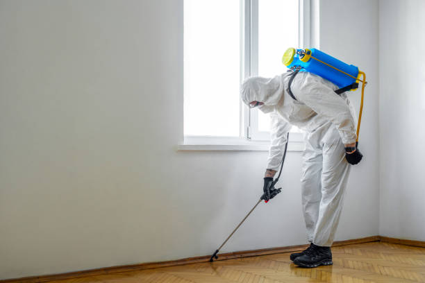 Best Local Pest Control Services  in Hillsboro, OH