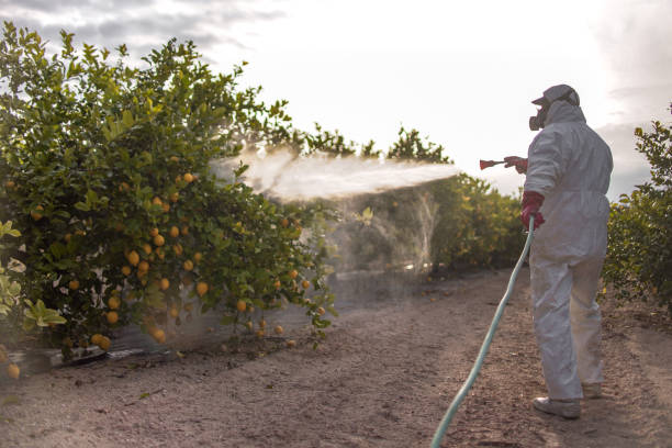 Best Exterminator Services  in Hillsboro, OH