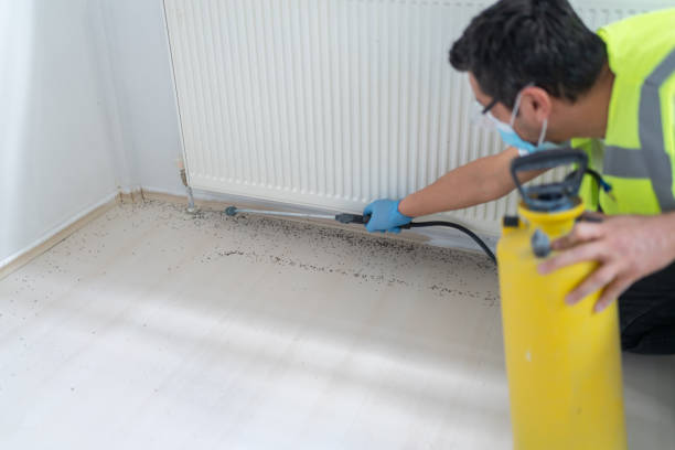Best Affordable Pest Control Services  in Hillsboro, OH