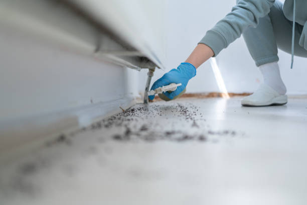 Best Pest Inspection Near Me  in Hillsboro, OH