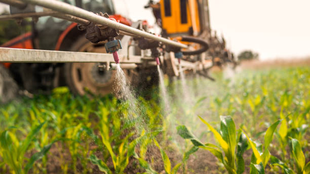 Best Pest Removal Services  in Hillsboro, OH